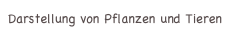 Darstellung von Pflanzen und Tieren